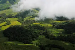 Coorg