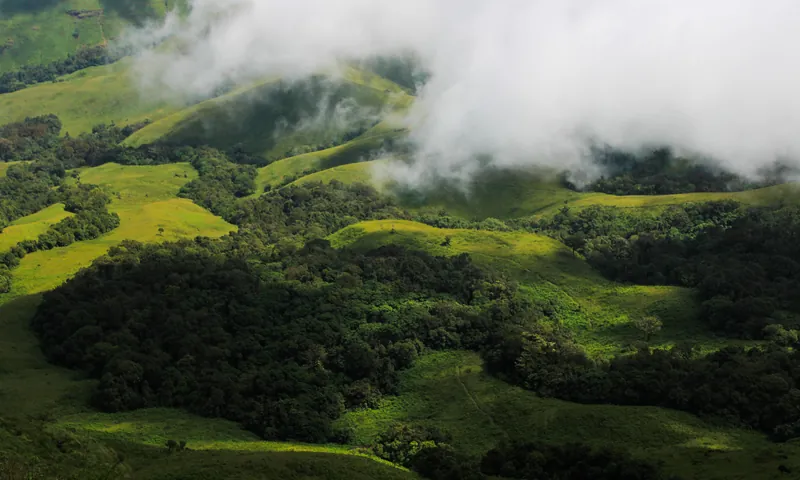 Bangalore to Coorg Coffee Hills Package