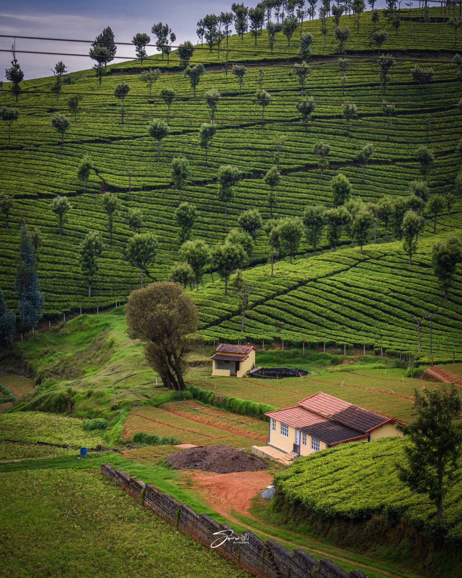 Ooty Nilgiri hill station tour cab transfer